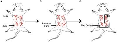 Prediction of pedicled flap survival preoperatively by operating indocyanine green angiography at 1,450 nm wavelength: an animal model study